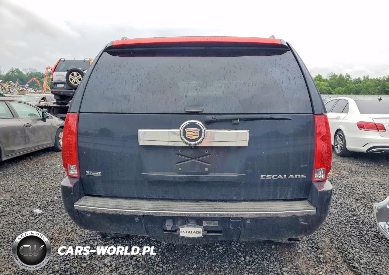 2009 Cadillac Escalade VIN:1GYFK13259R236329 - 6