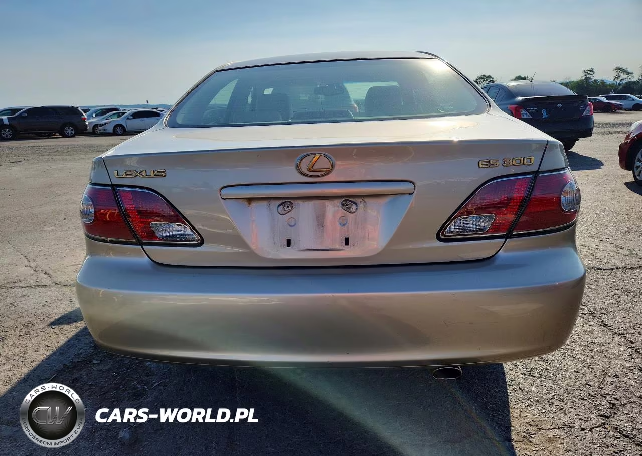 2003 Lexus Es 300 VIN:JTHBF30G836009910 - 6