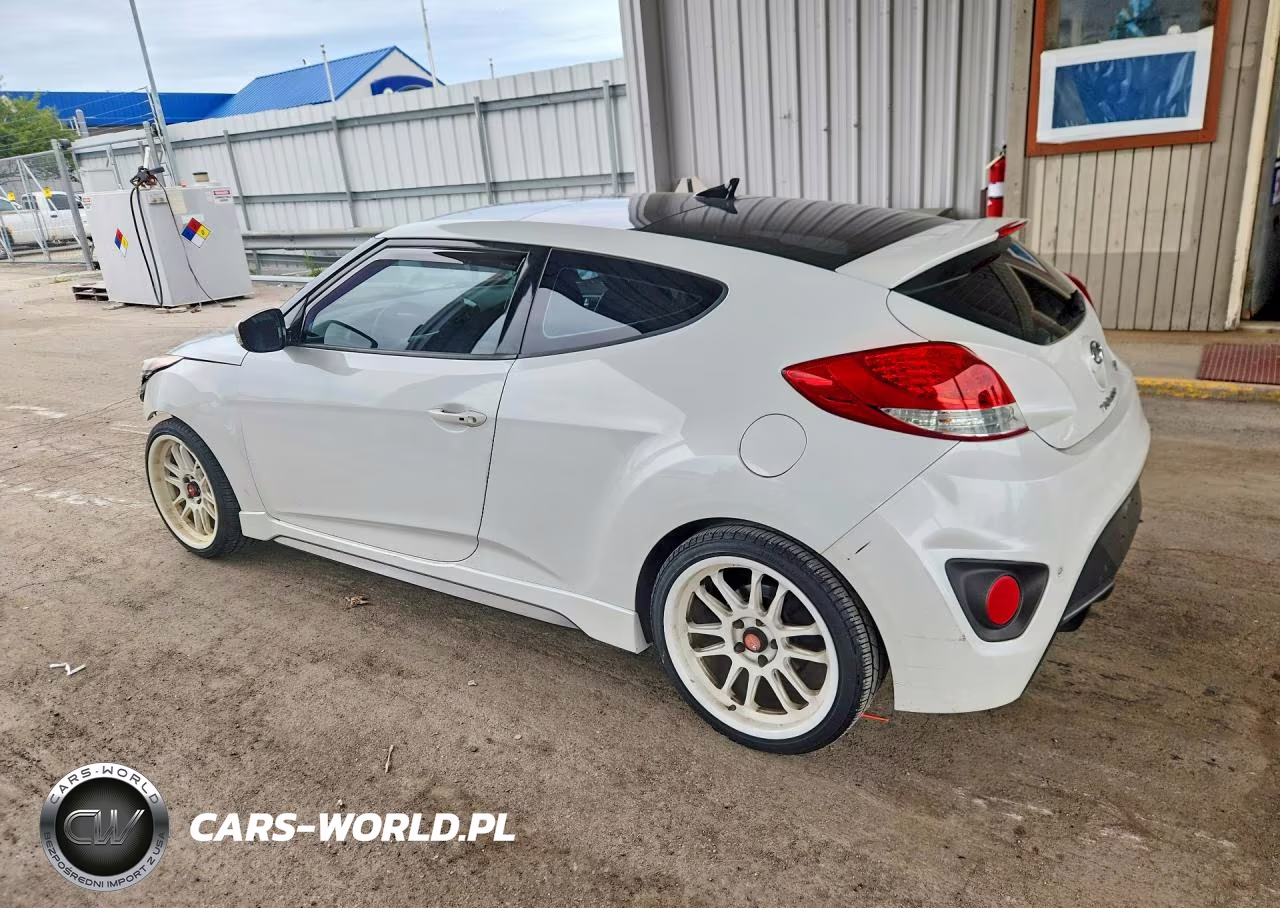 2013 Hyundai Veloster Turbo VIN:KMHTC6AE5DU117553 - 2