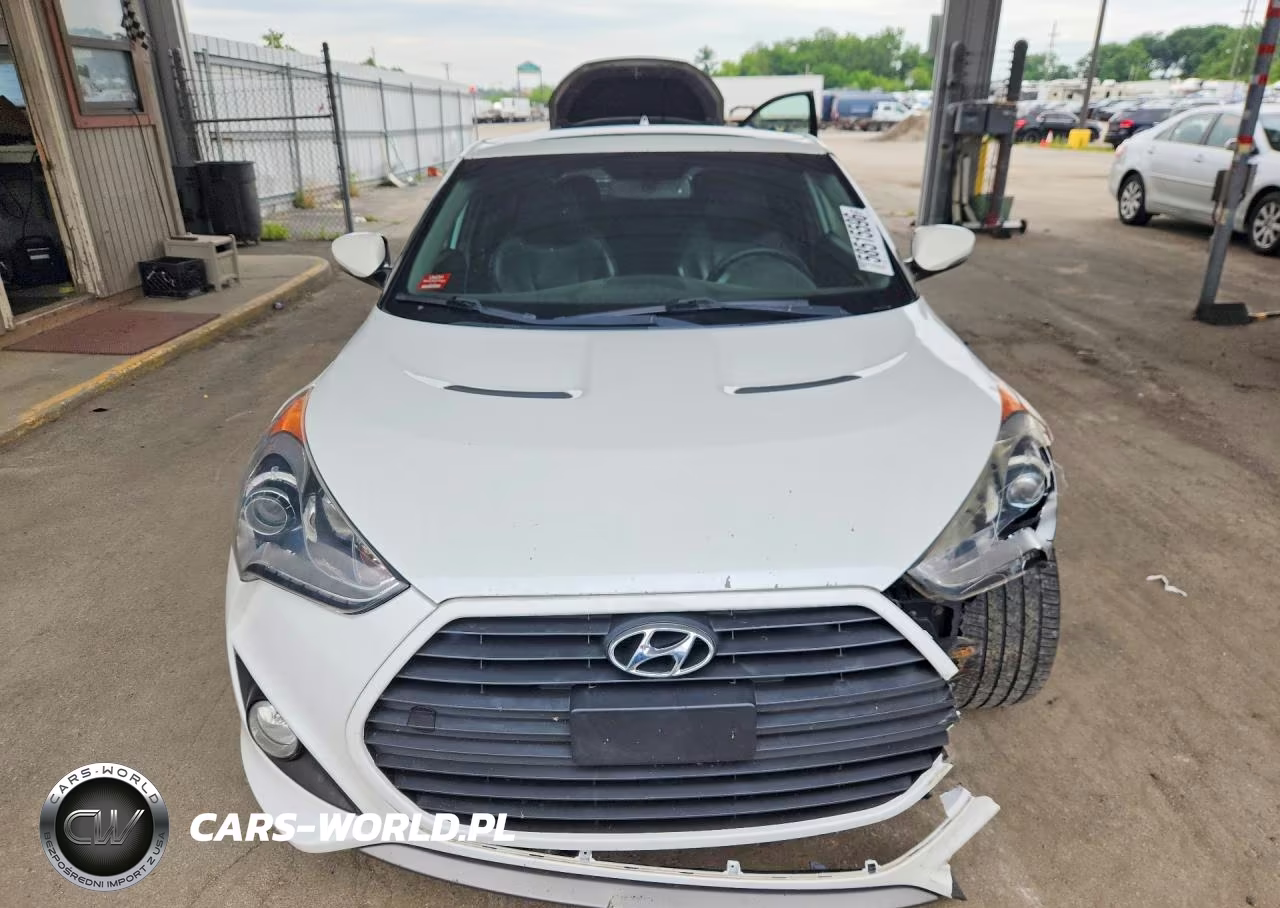 2013 Hyundai Veloster Turbo VIN:KMHTC6AE5DU117553 - 5