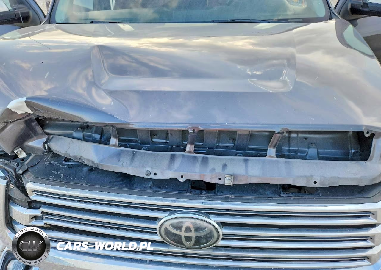 2019 Toyota Tundra 1794 Edition VIN:5TFGY5F11KX249129 - 11