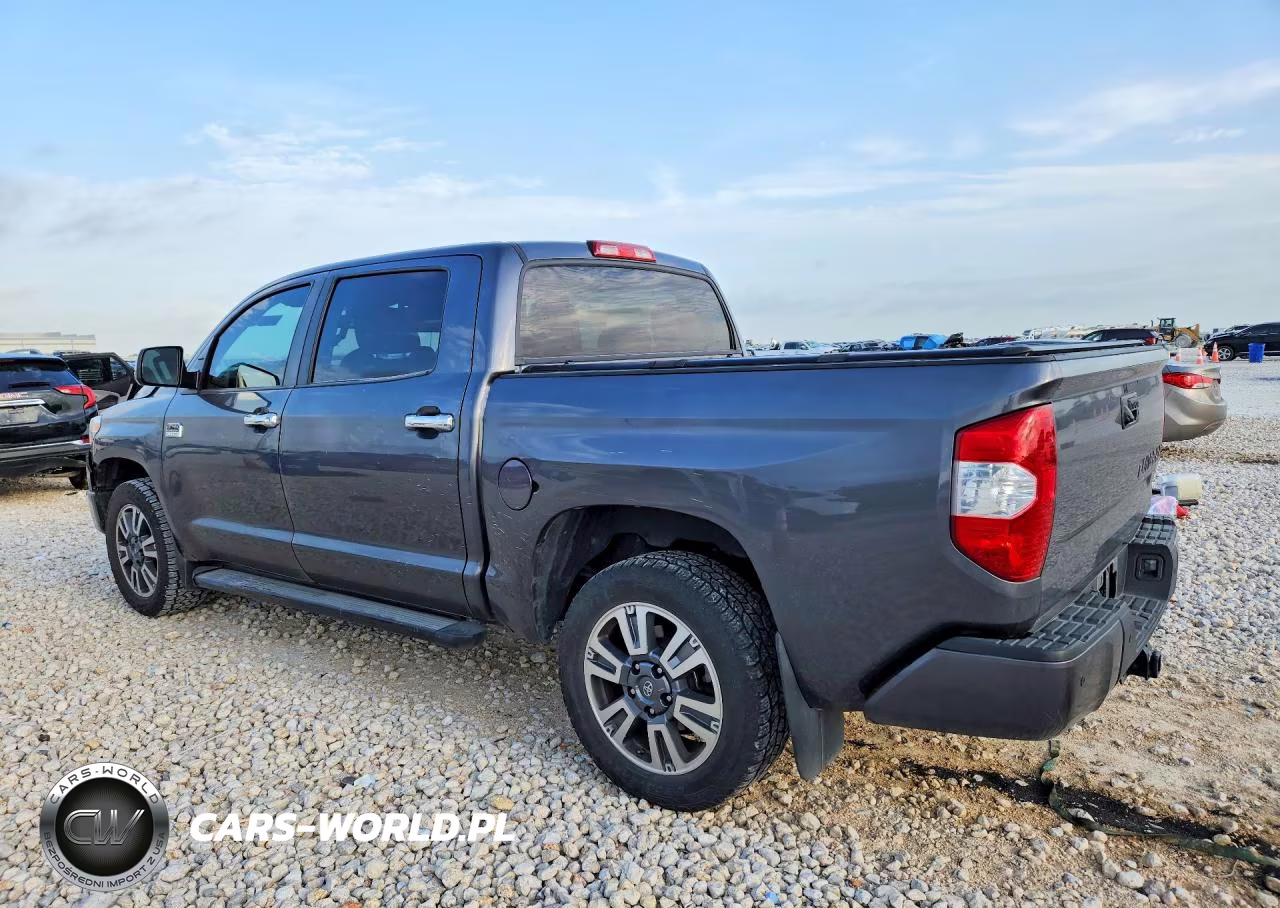 2019 Toyota Tundra 1794 Edition VIN:5TFGY5F11KX249129 - 2