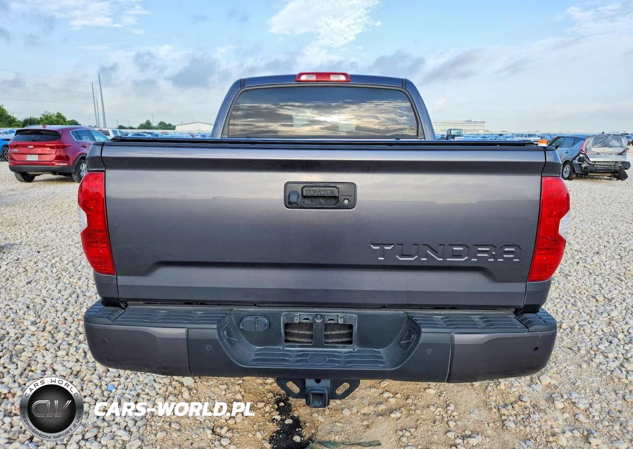 2019 Toyota Tundra 1794 Edition VIN:5TFGY5F11KX249129 - 6