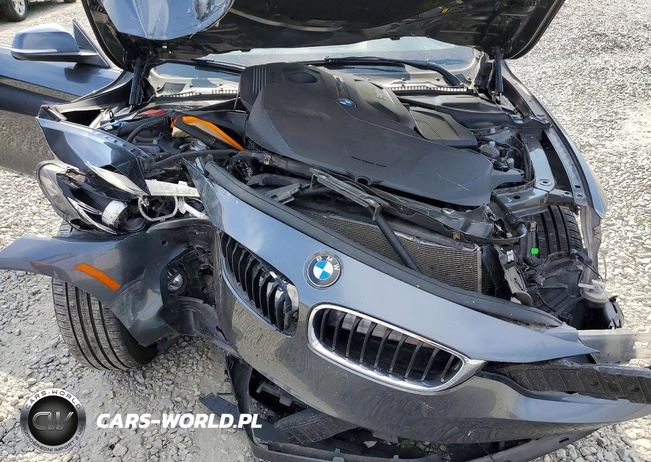 2018 BMW 430Xi VIN:WBA4W5C59JAD32759 - 11