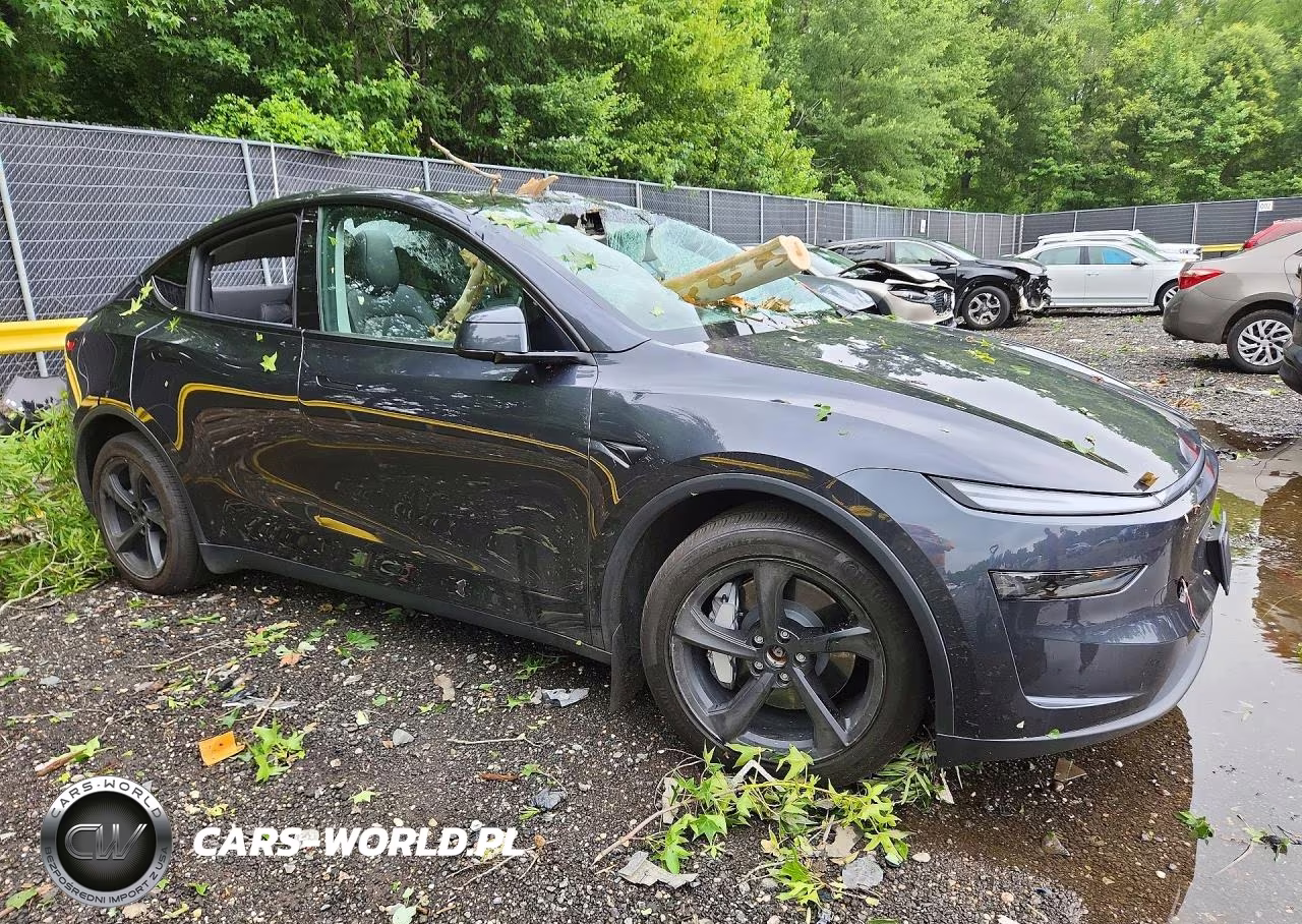 2026 Tesla Model Y VIN:7SAYGDEE6TF399452 - 4