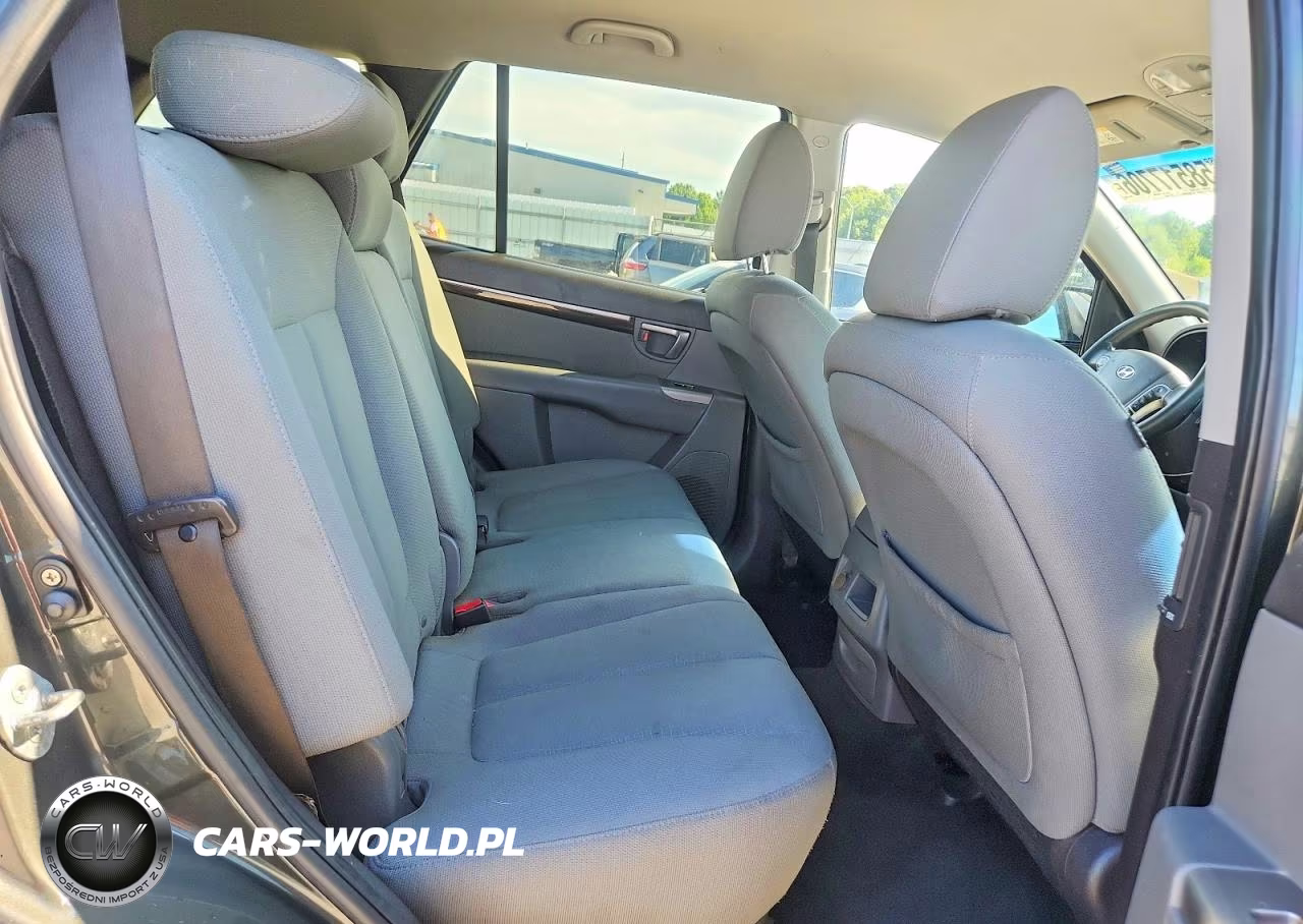 2010 Hyundai Santa Fe Gls VIN:5NMSG3AB7AH353262 - 11