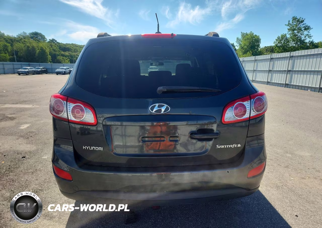 2010 Hyundai Santa Fe Gls VIN:5NMSG3AB7AH353262 - 6