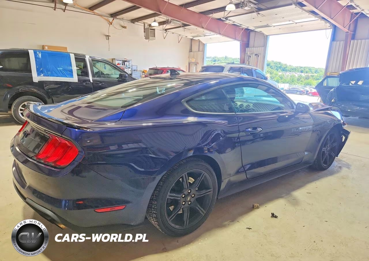 2020 Ford Mustang Gt VIN:1FA6P8CF1L5186102 - 3