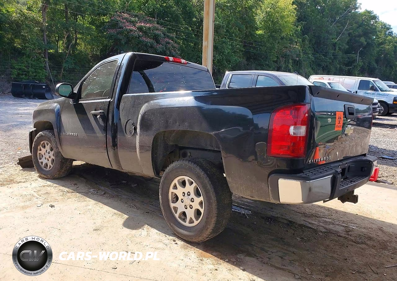 2010 Chevrolet Silverado C1500 VIN:1GCPCPEX3AZ179300 - 2