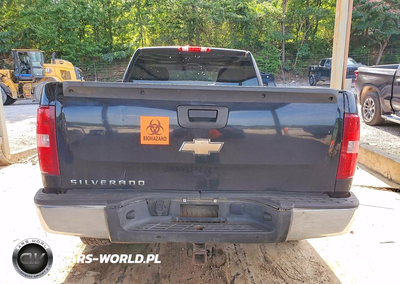 2010 Chevrolet Silverado C1500 VIN:1GCPCPEX3AZ179300 - 6