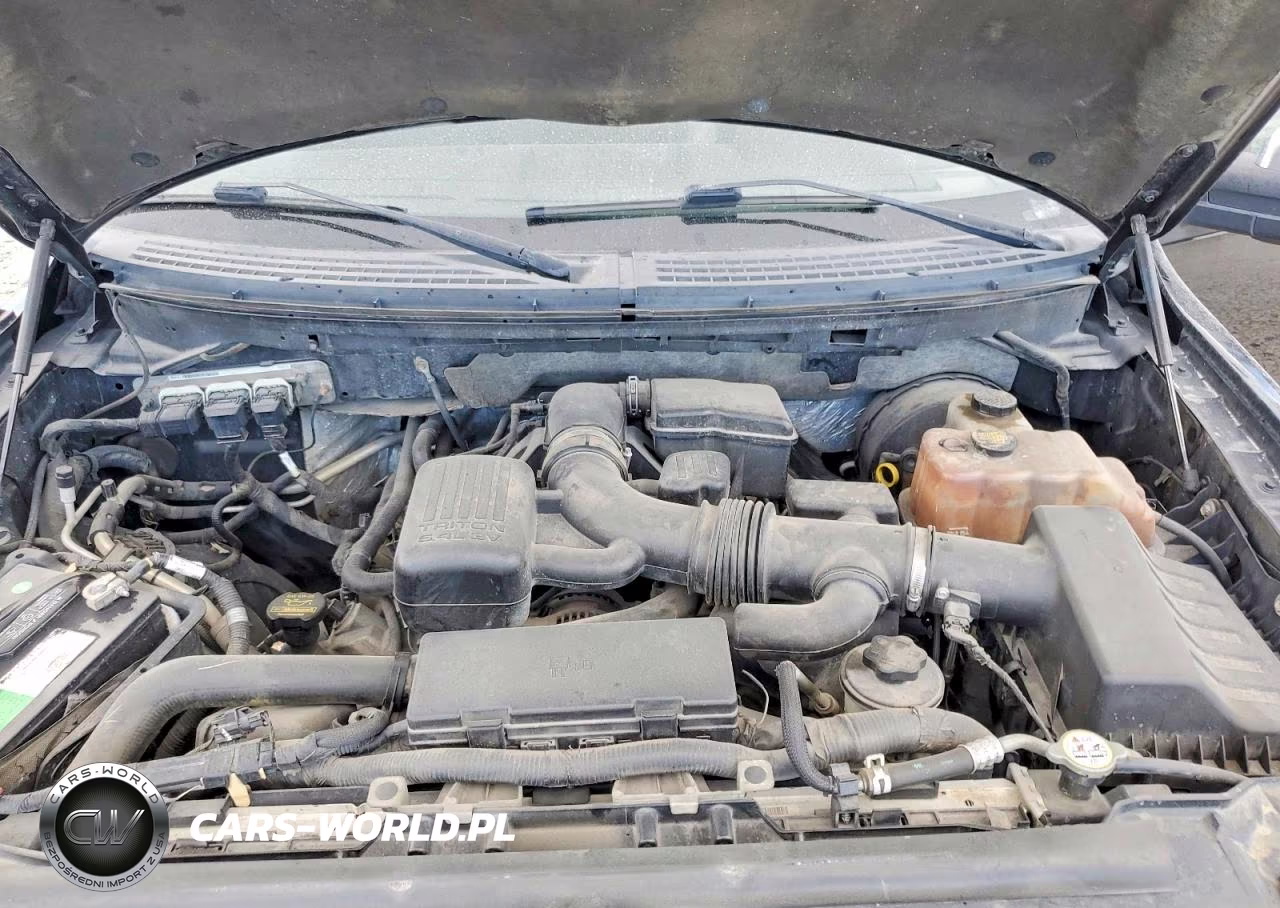 2009 Ford F150 Supercrew VIN:1FTPW14V29FB44832 - 11