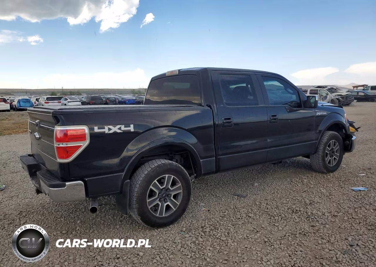 2009 Ford F150 Supercrew VIN:1FTPW14V29FB44832 - 3