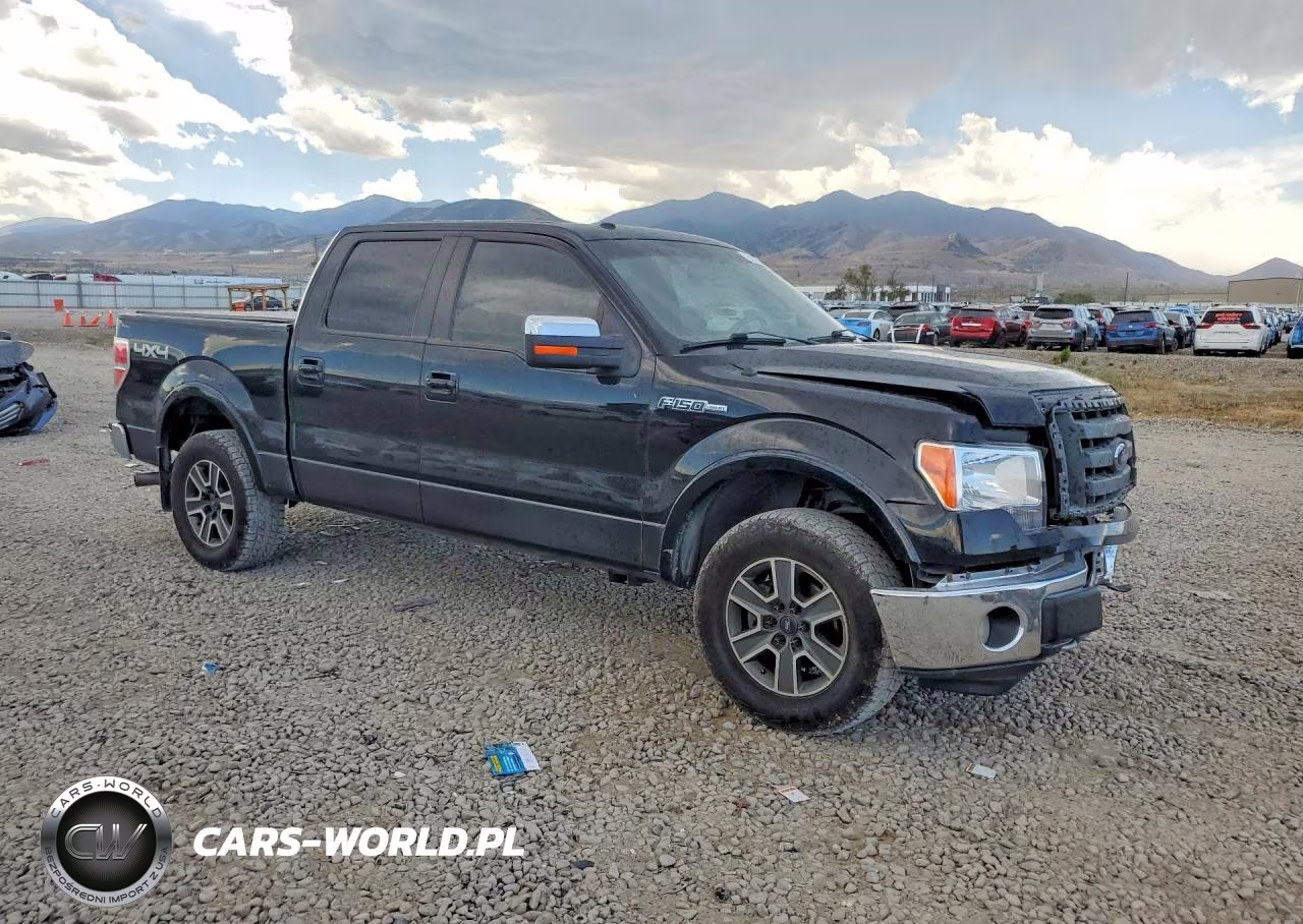 2009 Ford F150 Supercrew VIN:1FTPW14V29FB44832 - 4