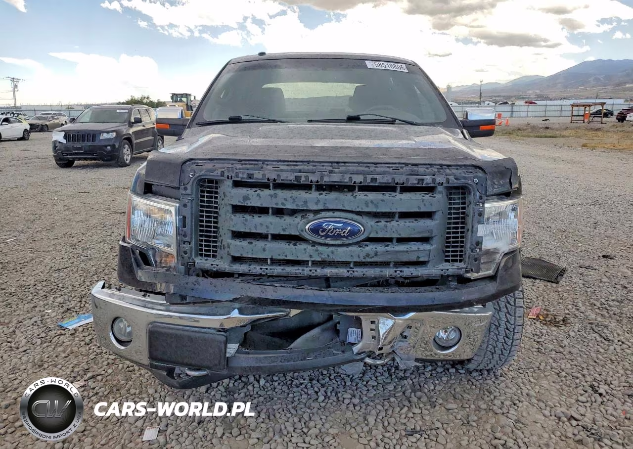 2009 Ford F150 Supercrew VIN:1FTPW14V29FB44832 - 5