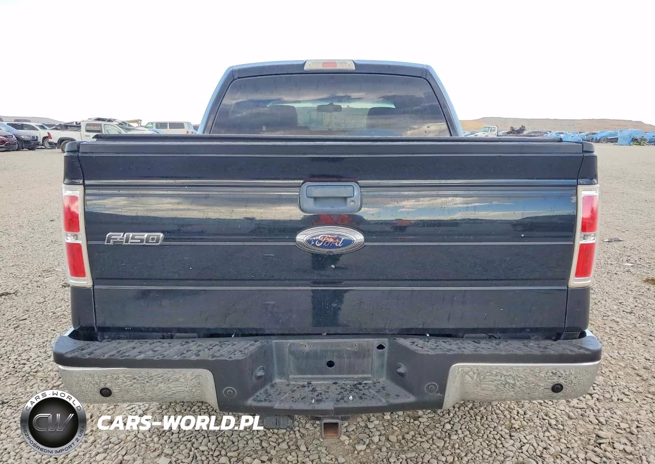 2009 Ford F150 Supercrew VIN:1FTPW14V29FB44832 - 6