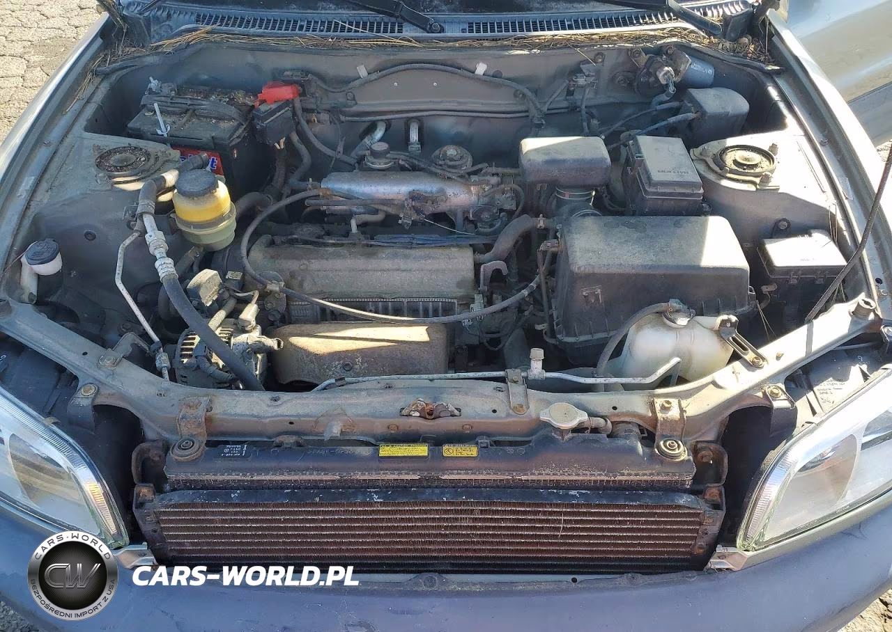 1999 Toyota Rav4 Base VIN:JT3GP10V9X7057105 - 12