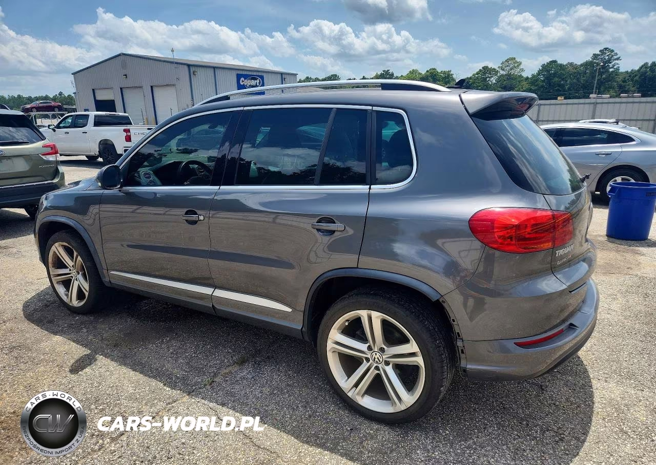 2016 Volkswagen Tiguan S VIN:WVGAV7AX6GW603886 - 2