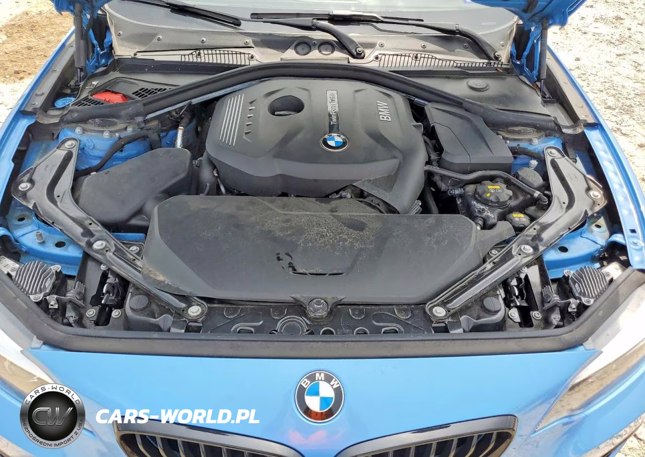 2018 BMW 230I VIN:WBA2M7C55JVA97648 - 11
