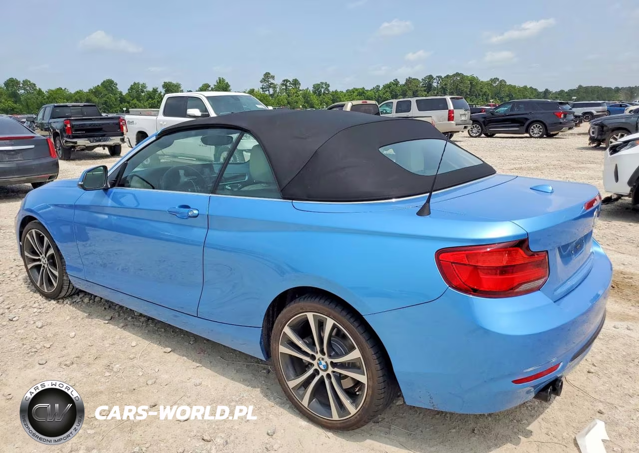 2018 BMW 230I VIN:WBA2M7C55JVA97648 - 2