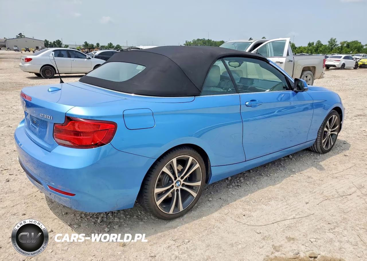 2018 BMW 230I VIN:WBA2M7C55JVA97648 - 3