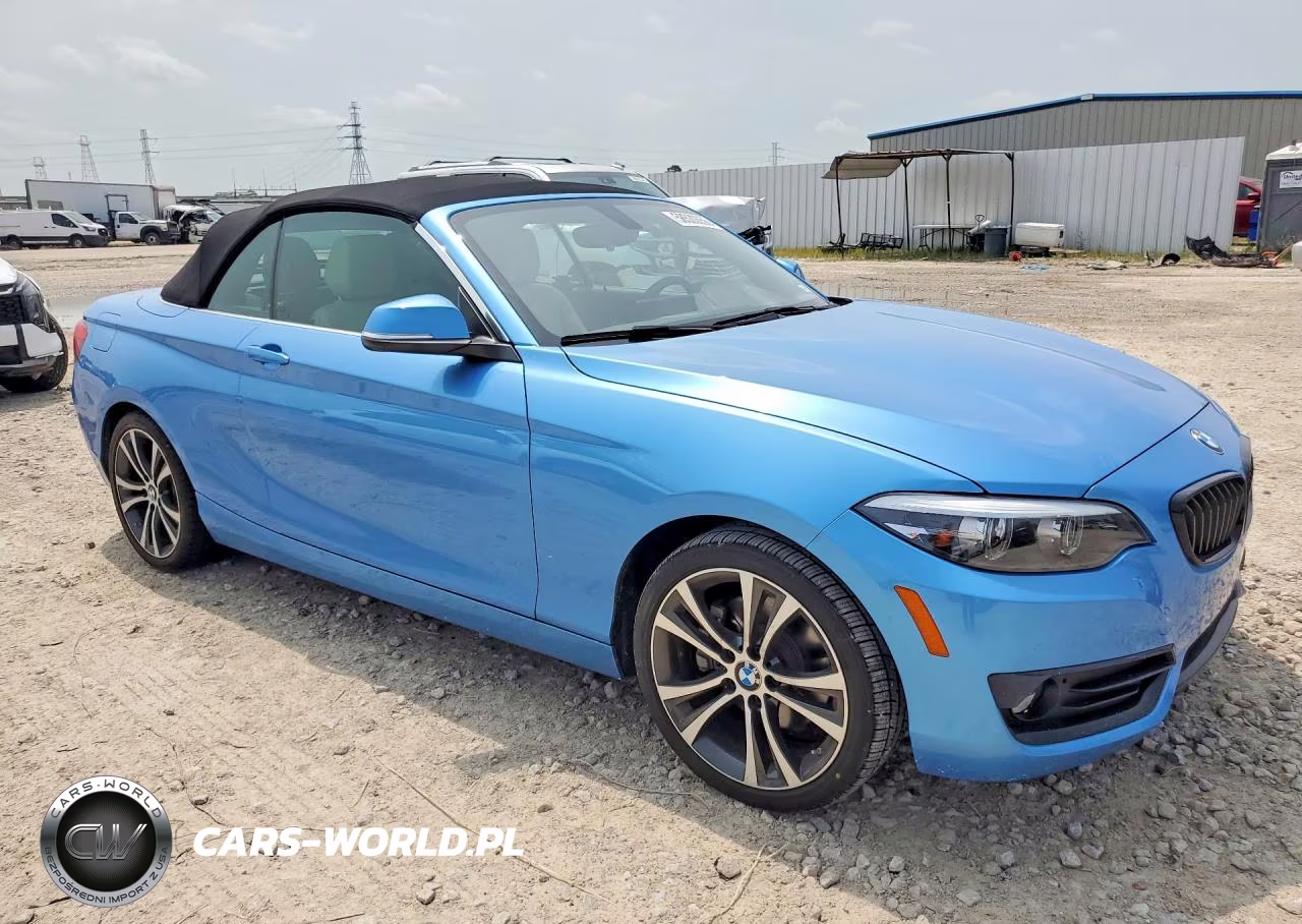 2018 BMW 230I VIN:WBA2M7C55JVA97648 - 4