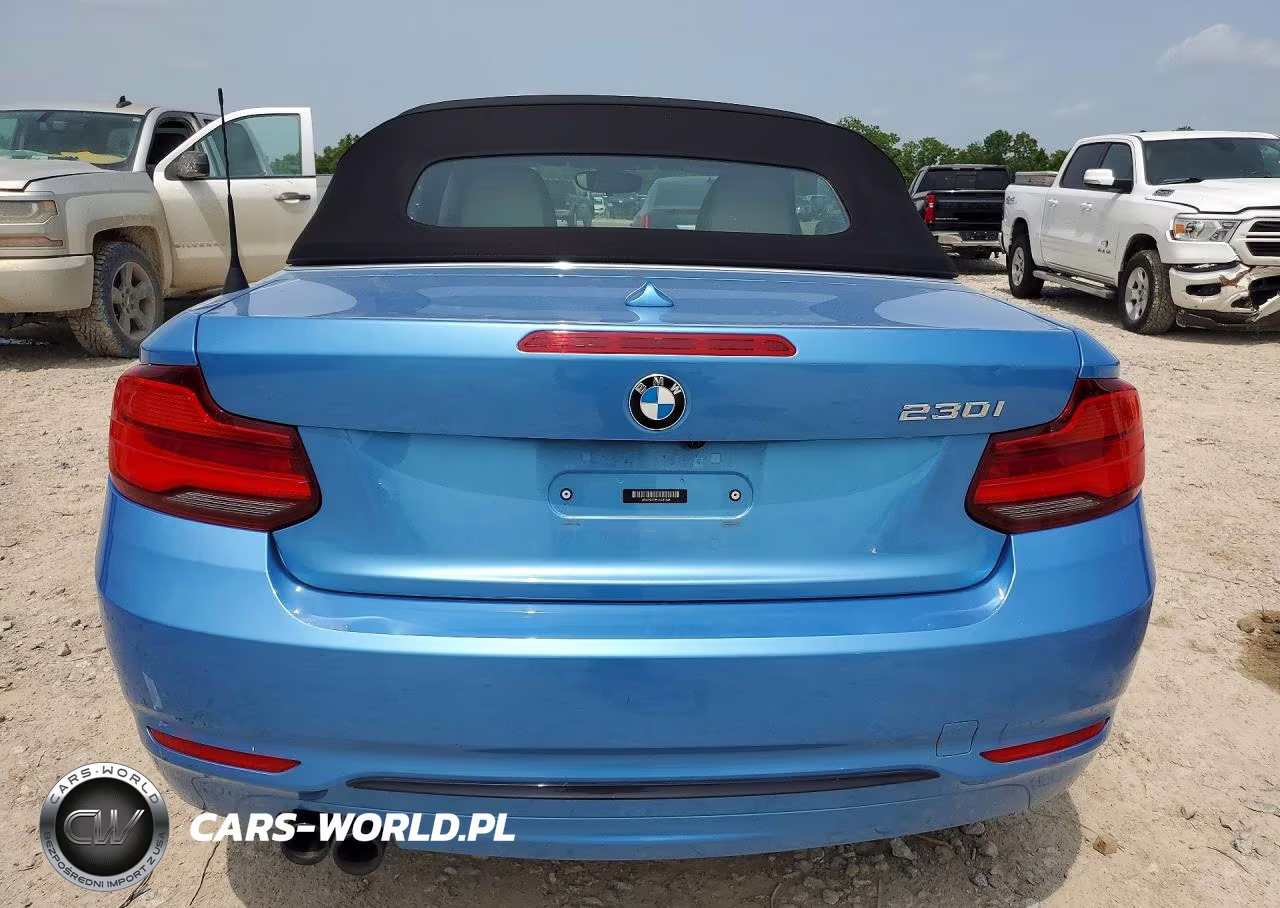 2018 BMW 230I VIN:WBA2M7C55JVA97648 - 6