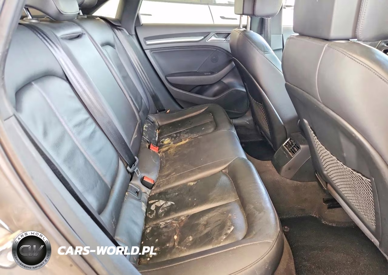 2019 Audi A3 Premium-Titanium VIN:WAUAUGFF1K1014769 - 10