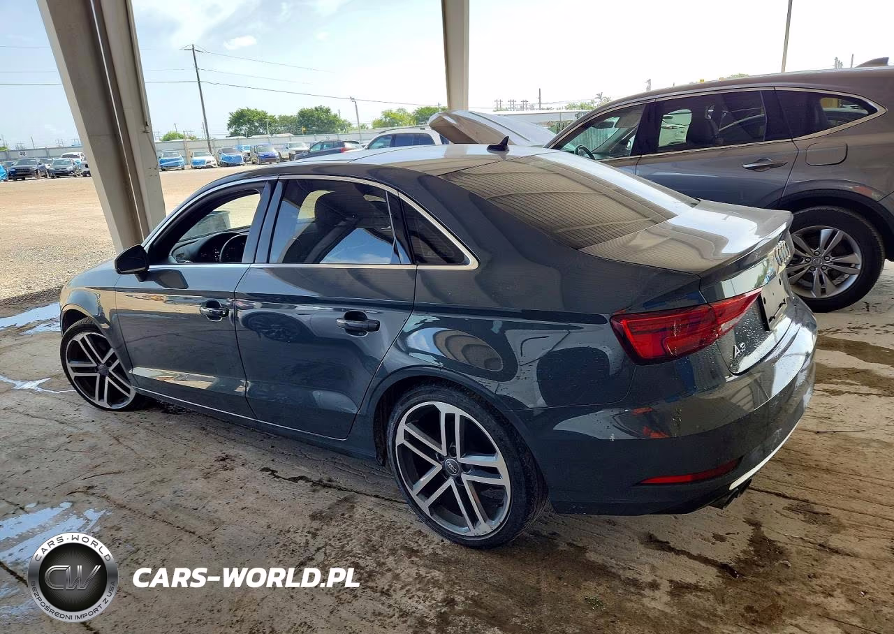 2019 Audi A3 Premium-Titanium VIN:WAUAUGFF1K1014769 - 2