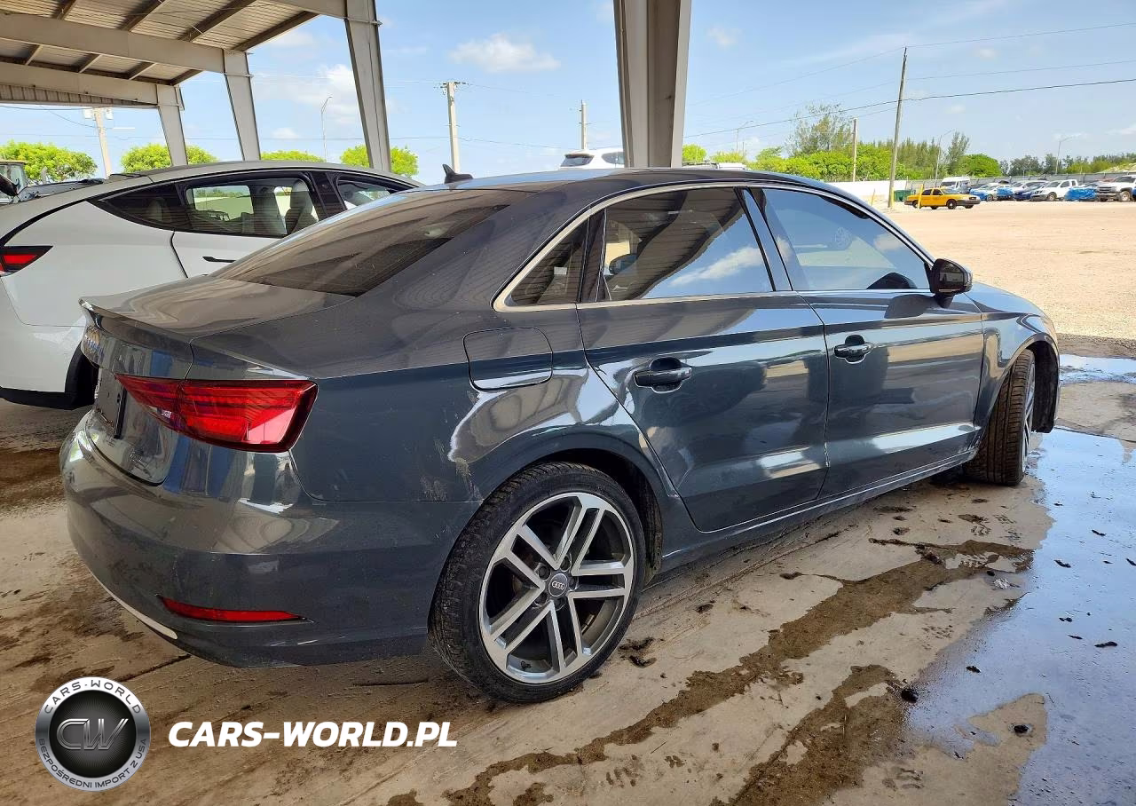 2019 Audi A3 Premium-Titanium VIN:WAUAUGFF1K1014769 - 3