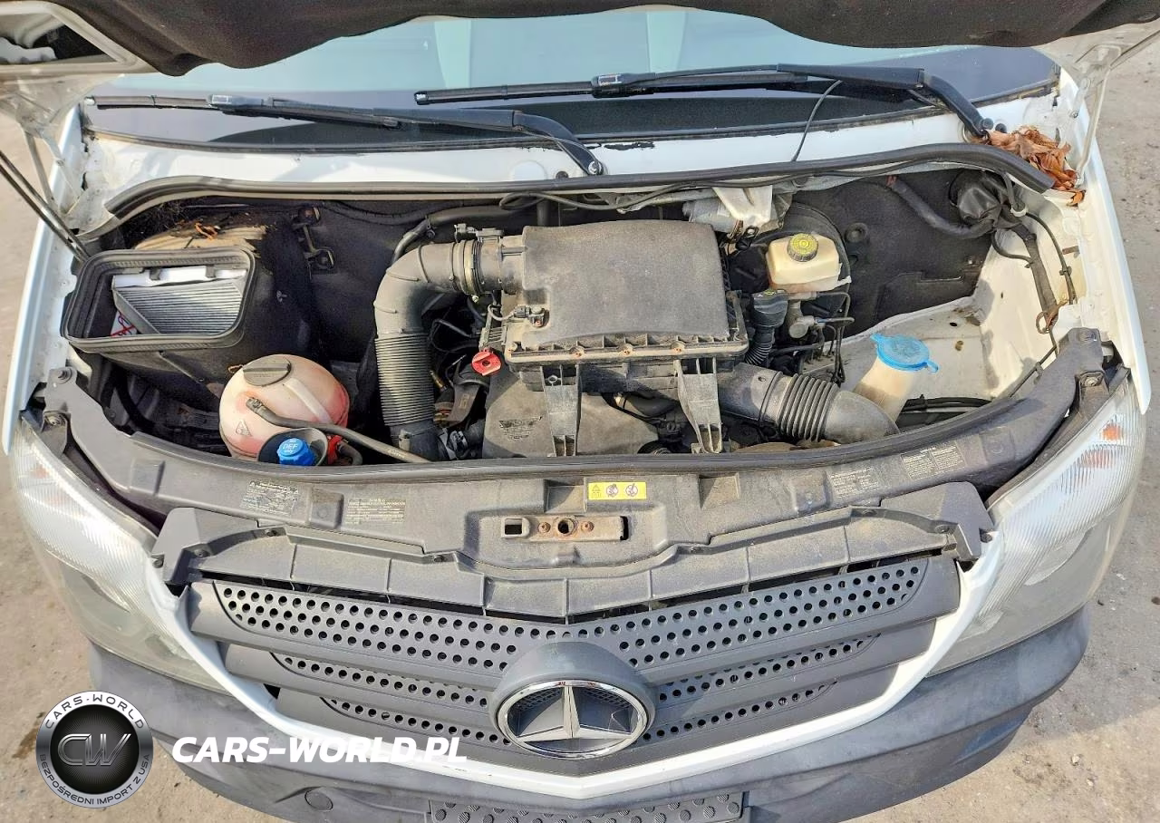 2016 Mercedes-Benz Sprinter 2500 VIN:8BRPE7DD2GE123235 - 12
