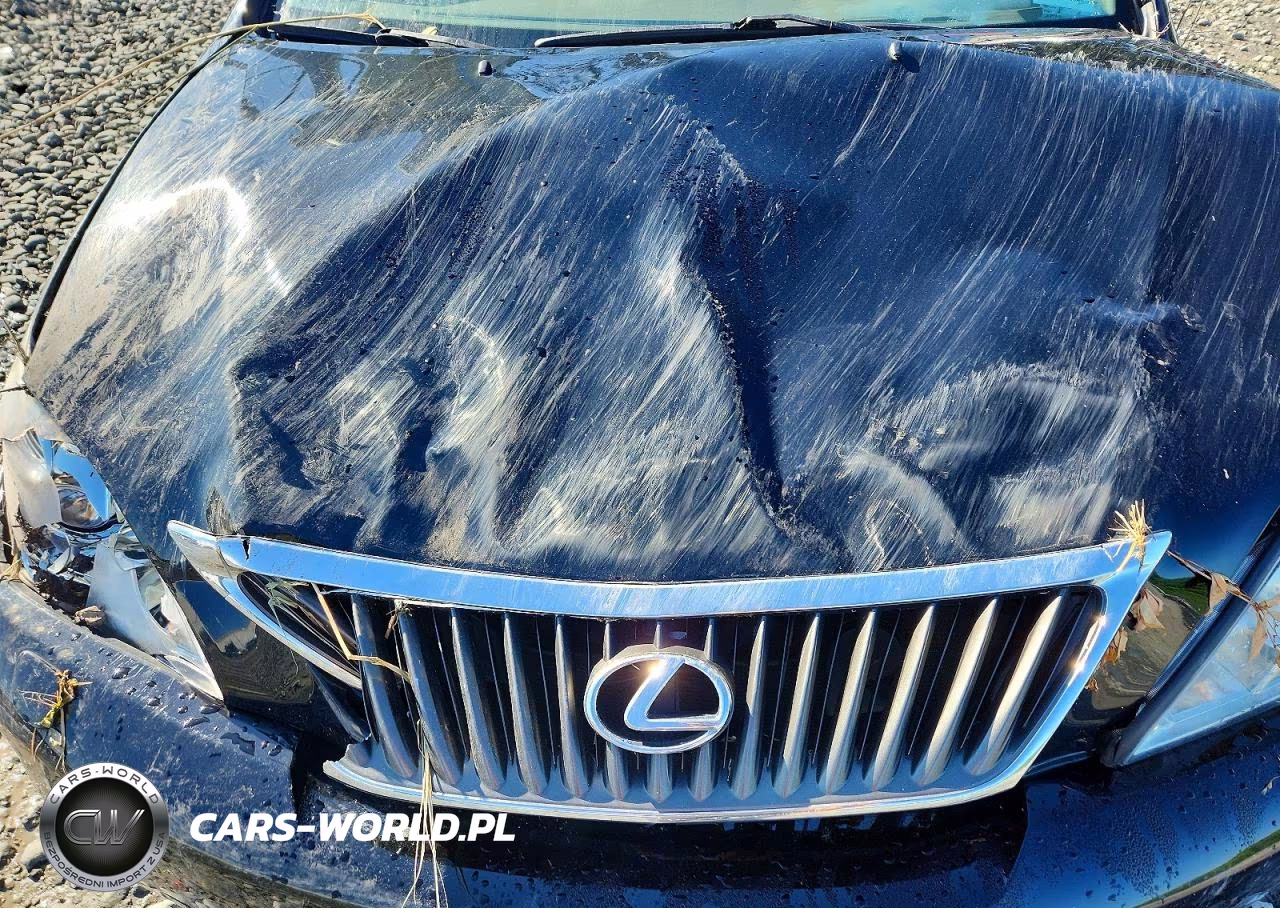 2009 Lexus Rx 350 Base VIN:2T2HK31U49C128286 - 12
