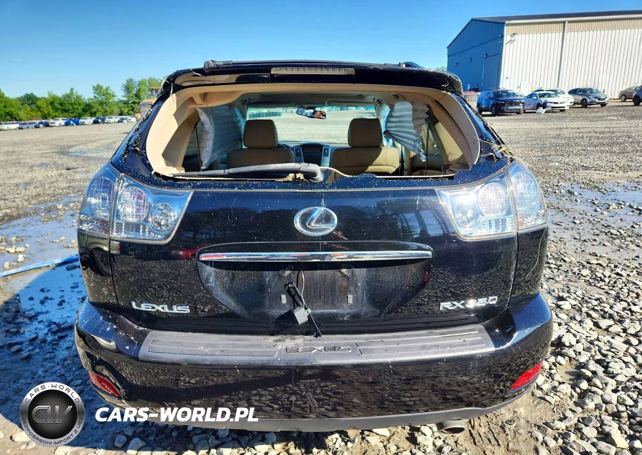 2009 Lexus Rx 350 Base VIN:2T2HK31U49C128286 - 6