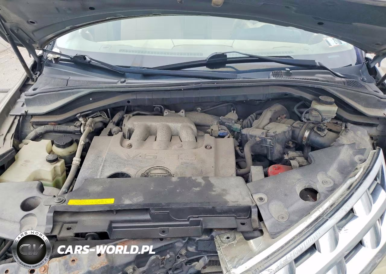 2003 Nissan Murano Sl VIN:JN8AZ08W53W209825 - 12