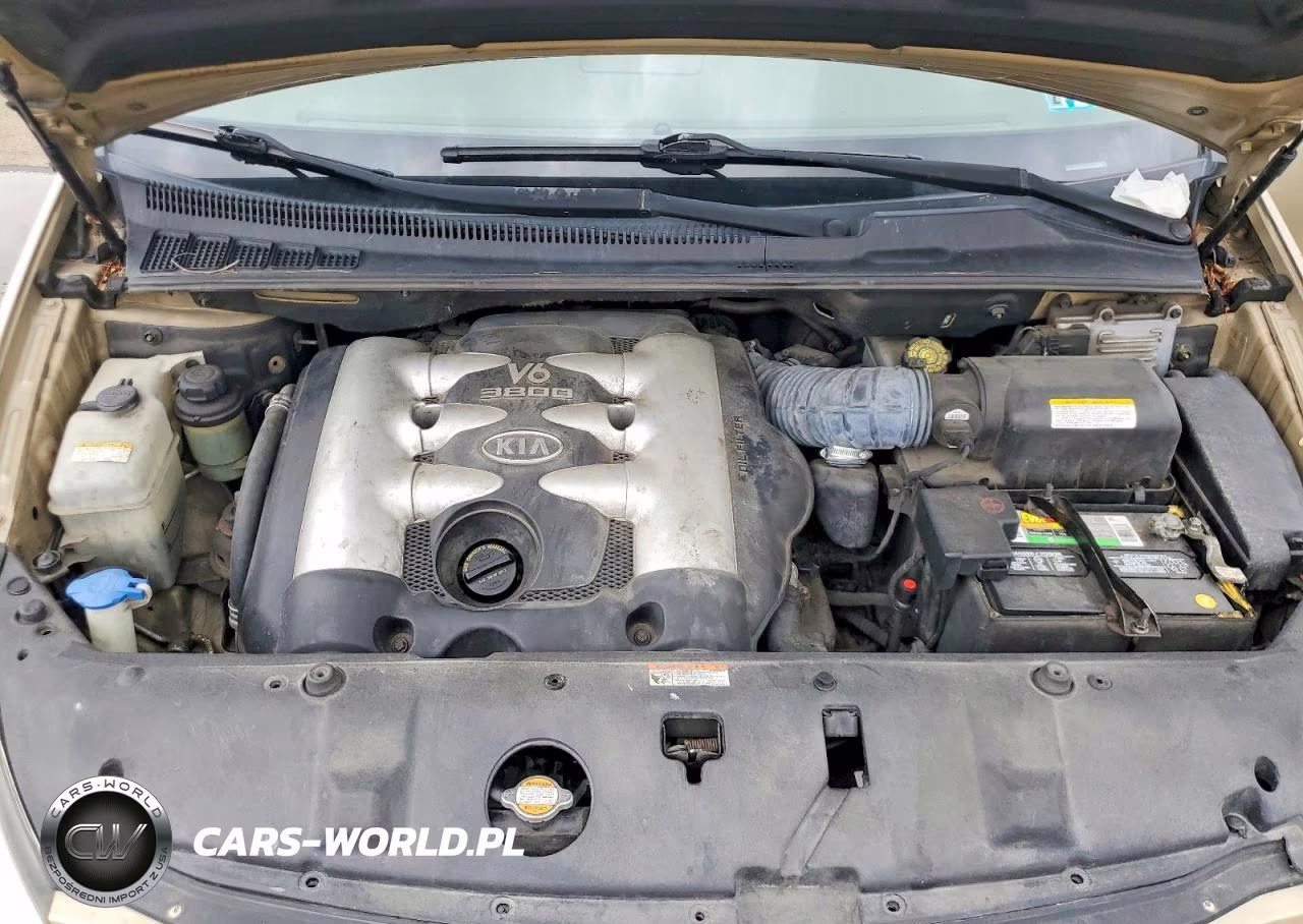 2006 Kia Sedona Lx VIN:KNDMB233X66056966 - 12