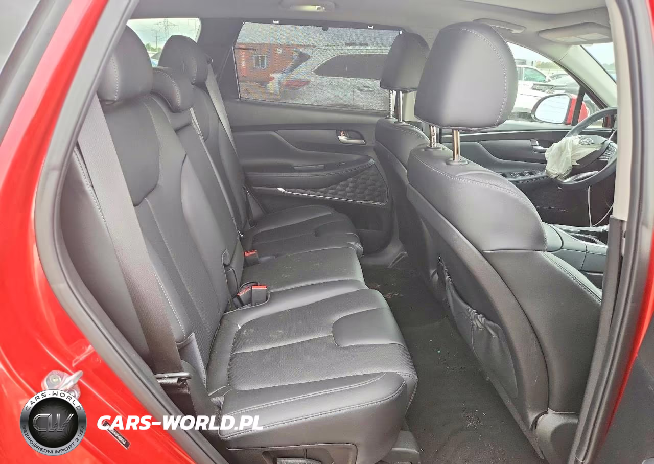 2023 Hyundai Santa Fe Sel Premium VIN:5NMS3DA12PH004656 - 10