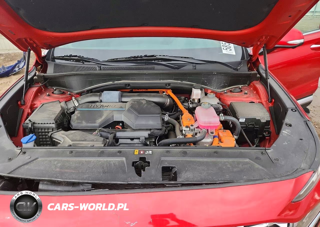 2023 Hyundai Santa Fe Sel Premium VIN:5NMS3DA12PH004656 - 11