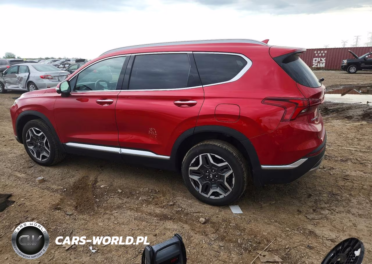 2023 Hyundai Santa Fe Sel Premium VIN:5NMS3DA12PH004656 - 2