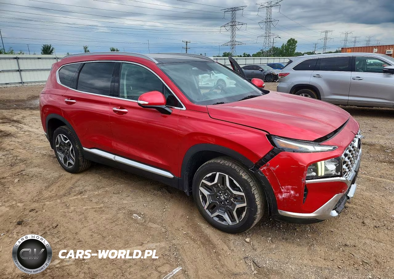 2023 Hyundai Santa Fe Sel Premium VIN:5NMS3DA12PH004656 - 4