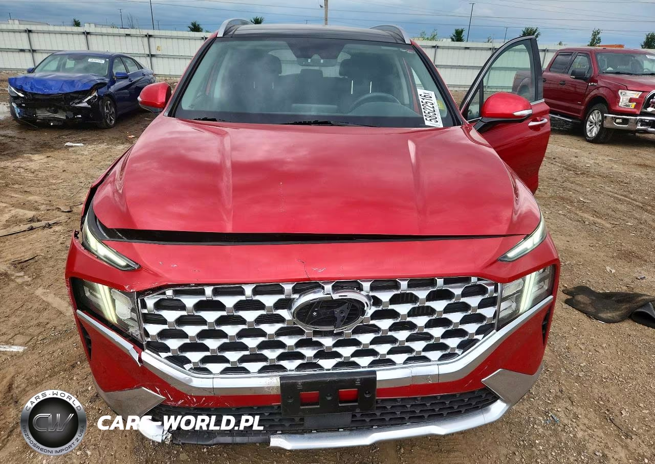 2023 Hyundai Santa Fe Sel Premium VIN:5NMS3DA12PH004656 - 5