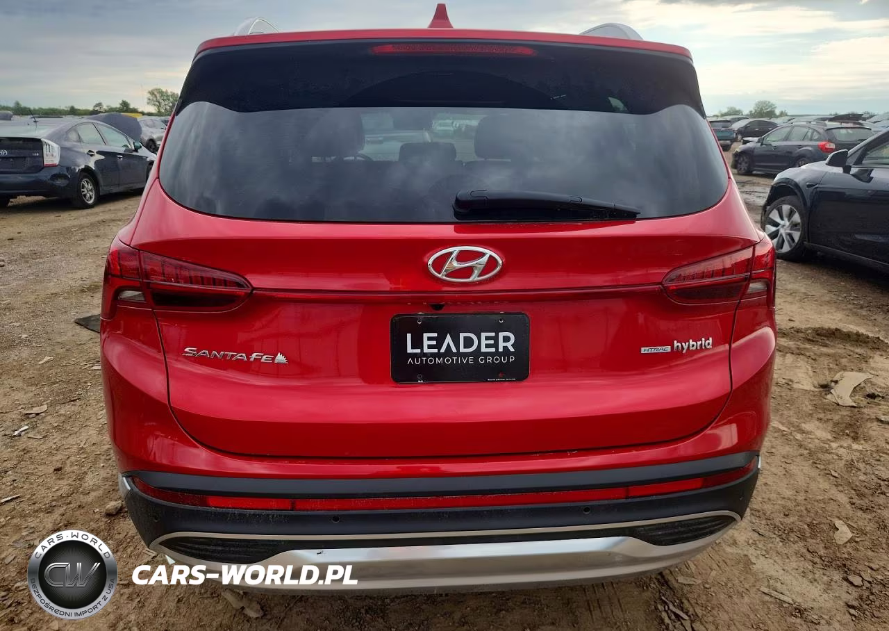 2023 Hyundai Santa Fe Sel Premium VIN:5NMS3DA12PH004656 - 6