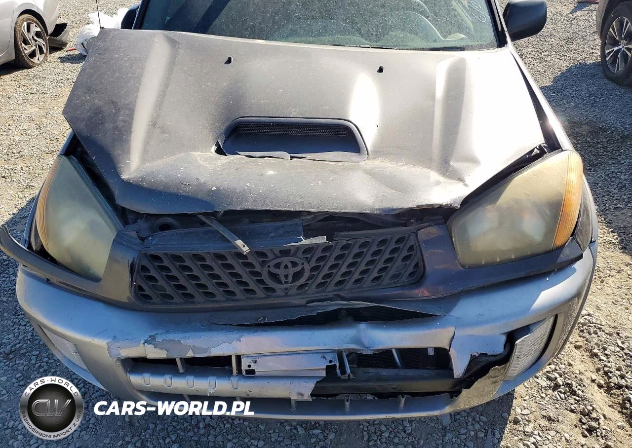 2003 Toyota Rav4 Base VIN:JTEGH20V330109065 - 12