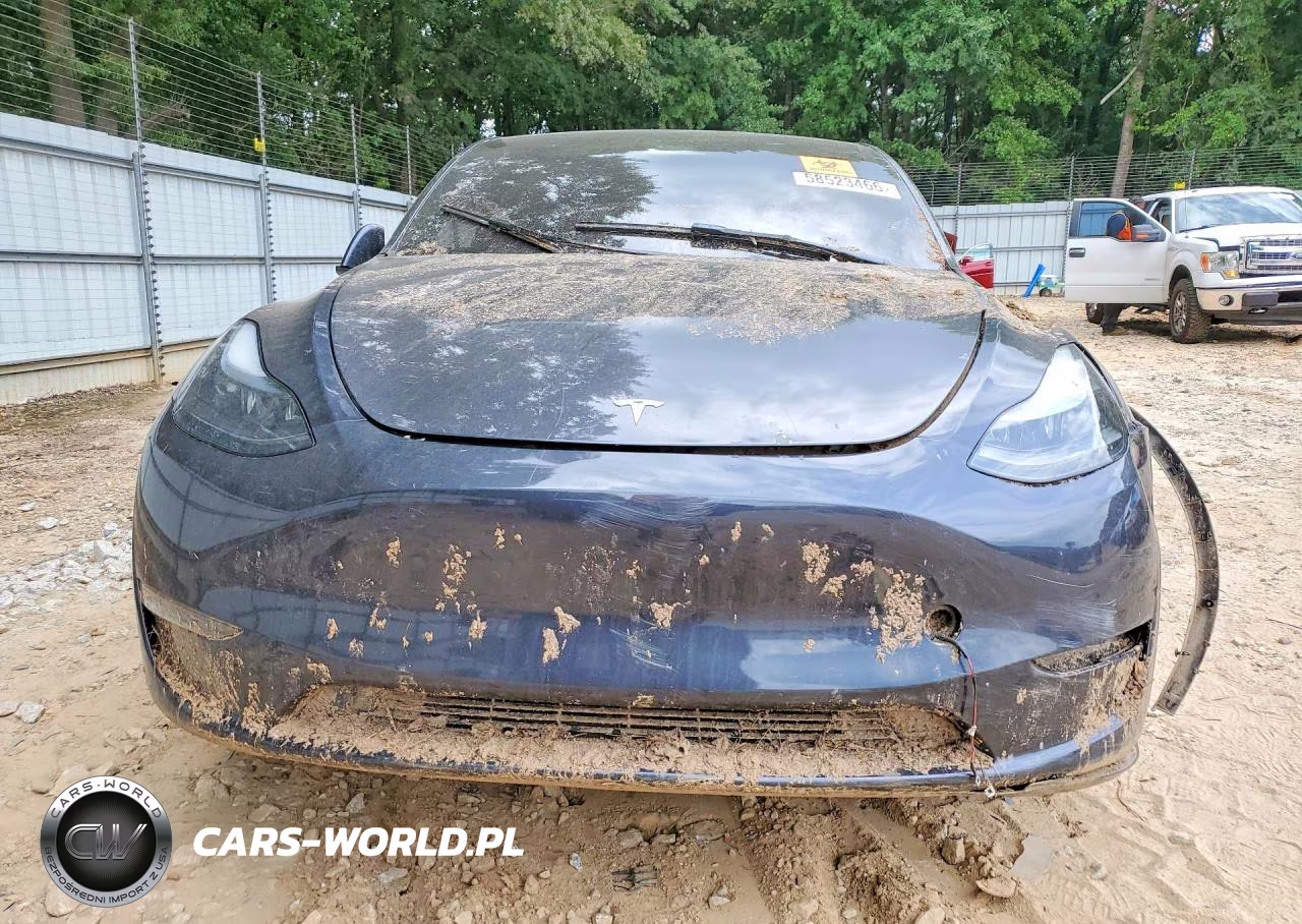 2025 Tesla Model Y VIN:7SAYGDED2SA352793 - 5