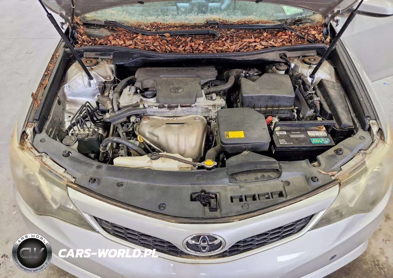 2013 Toyota Camry Se VIN:4T1BF1FK1DU700951 - 11