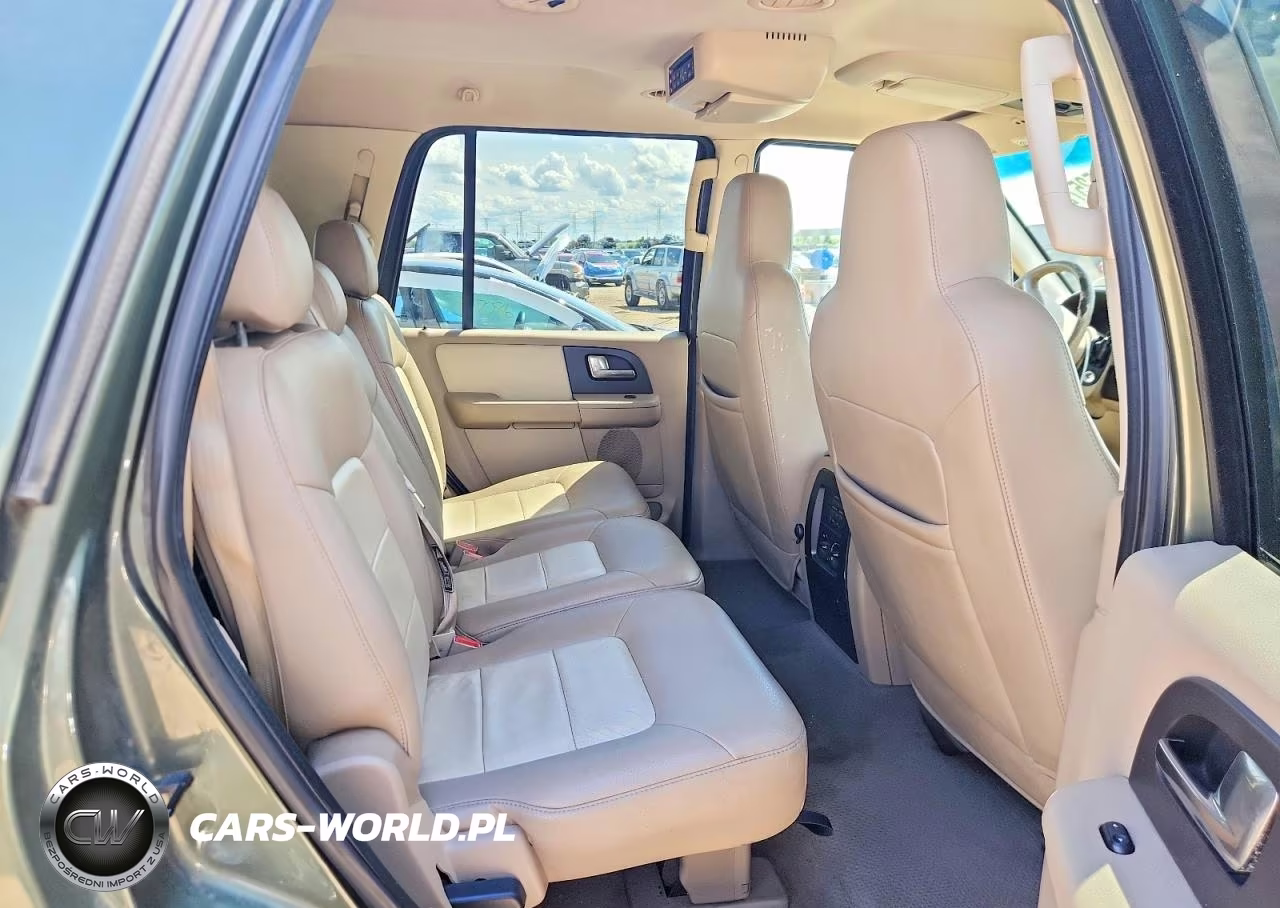 2003 Ford Expedition Eddie Bauer VIN:1FMPU18L43LB47900 - 10