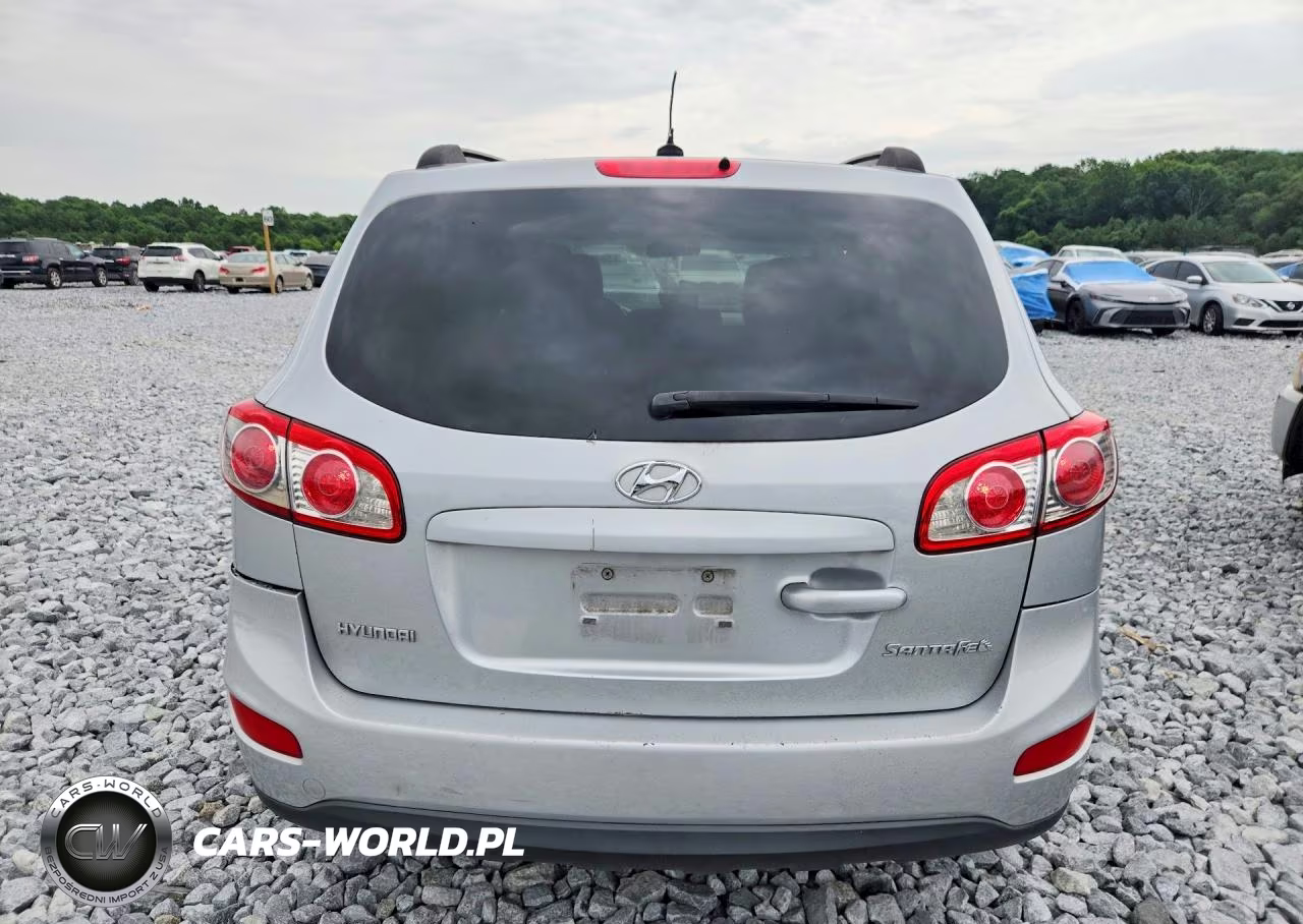 2010 Hyundai Santa Fe Gls VIN:5NMSG3AB8AH364643 - 6