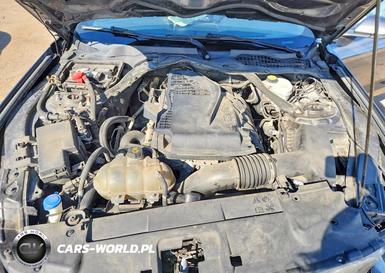 2020 Ford Mustang VIN:1FATP8UHXL5135748 - 11