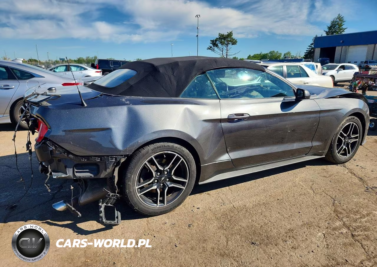 2020 Ford Mustang VIN:1FATP8UHXL5135748 - 3