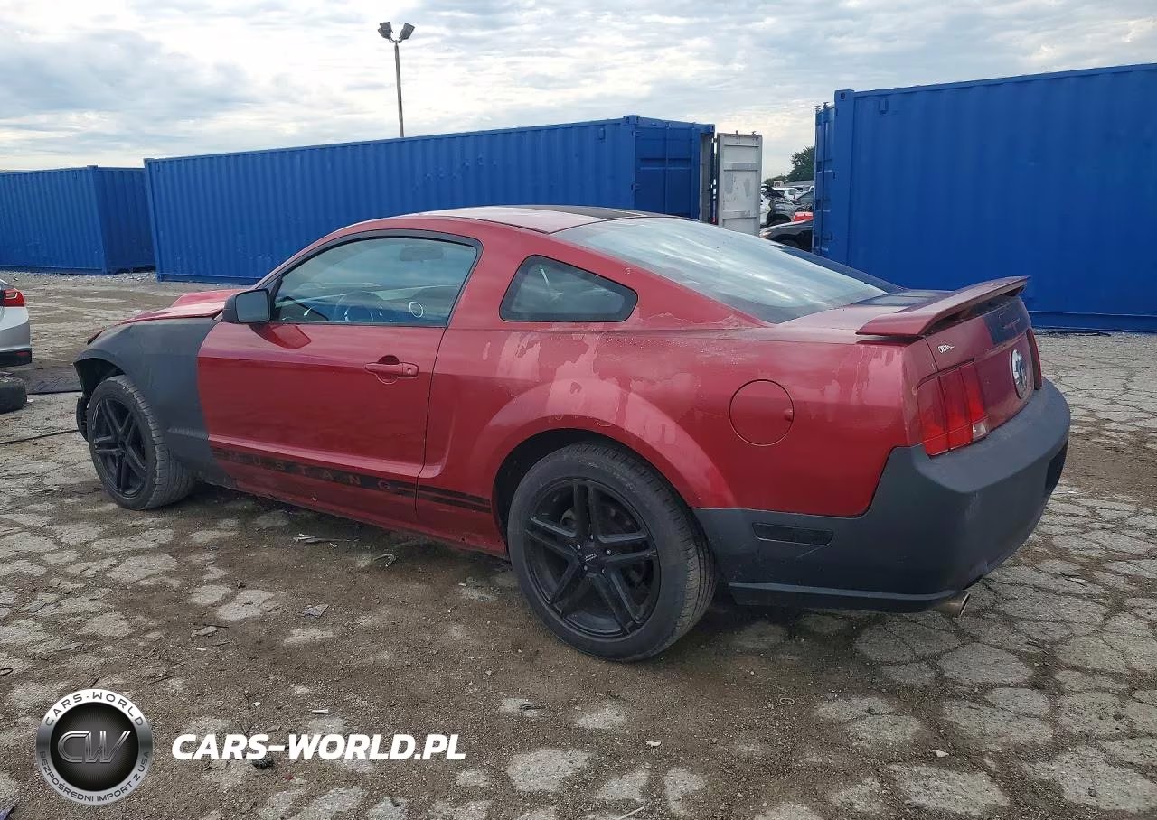 2005 Ford Mustang VIN:1ZVFT80N155151898 - 2