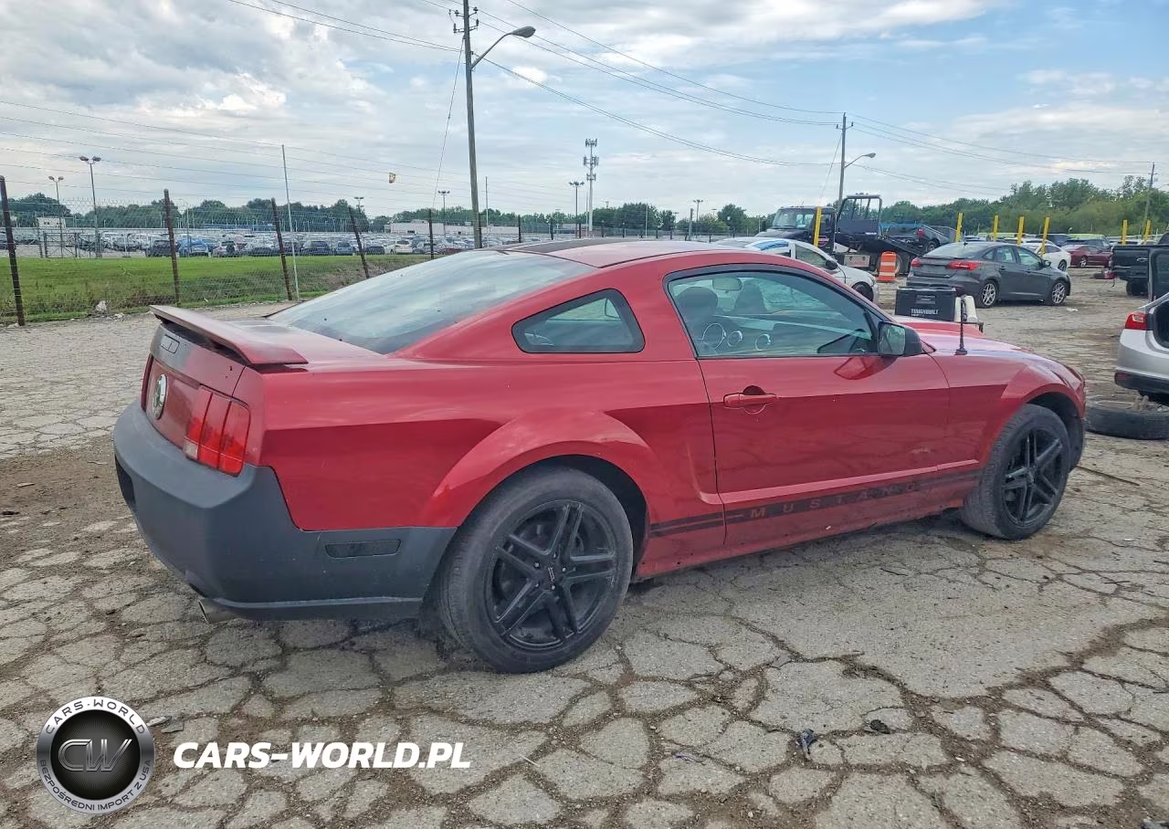 2005 Ford Mustang VIN:1ZVFT80N155151898 - 3