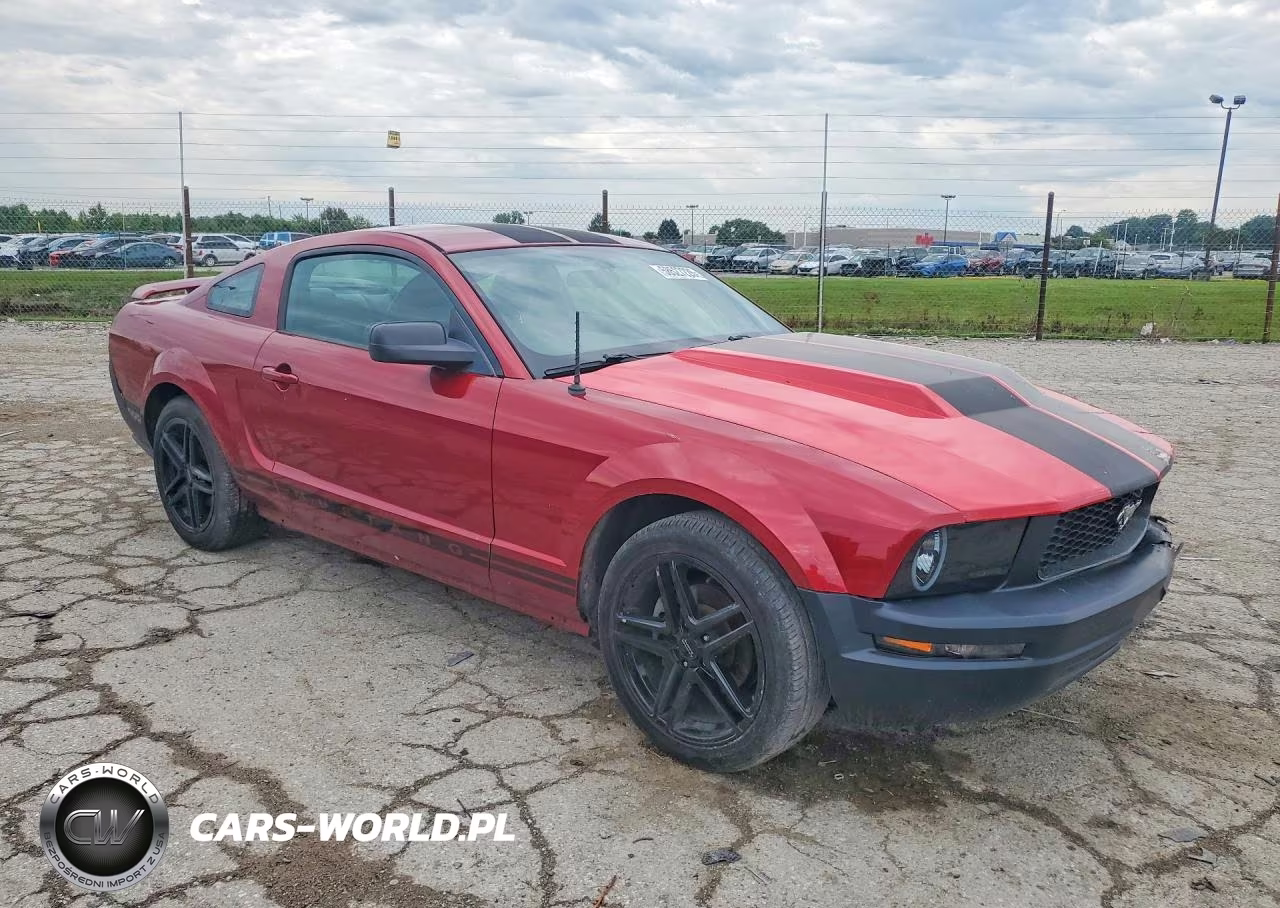 2005 Ford Mustang VIN:1ZVFT80N155151898 - 4